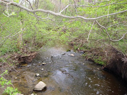 Property photo 10 - 80 Acres Offered in 7 Tracts